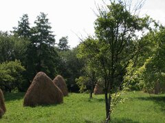 Valea Danului, Curtea de Arges, teren 5844 mp intravilan, extravilan