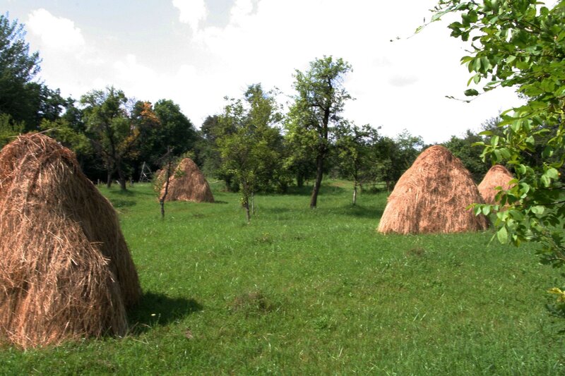 Valea Danului, Curtea de Arges, teren 5844 mp intravilan, extravilan.