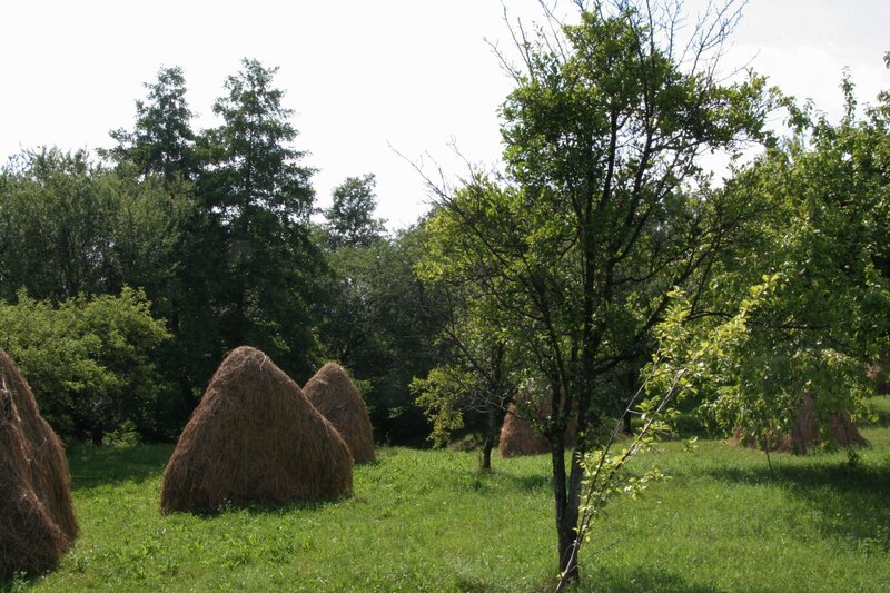 Valea Danului, Curtea de Arges, teren 5844 mp intravilan, extravilan.
