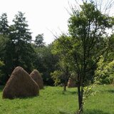 Valea Danului, Curtea de Arges, teren 5844 mp intravilan, extravilan