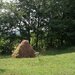 Valea Danului, Curtea de Arges, teren 5844 mp intravilan, extravilan.